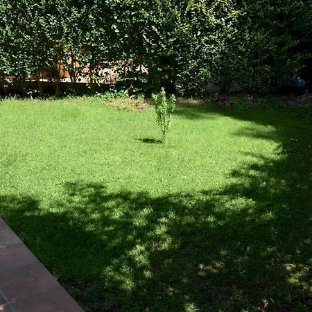 Aegean - F & B Summer Collection