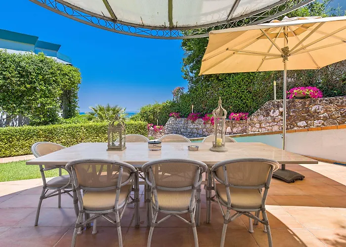 Aegean - F & B Summer Collection